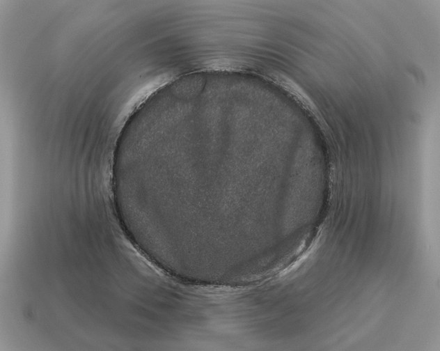 X0000114490930200911091045