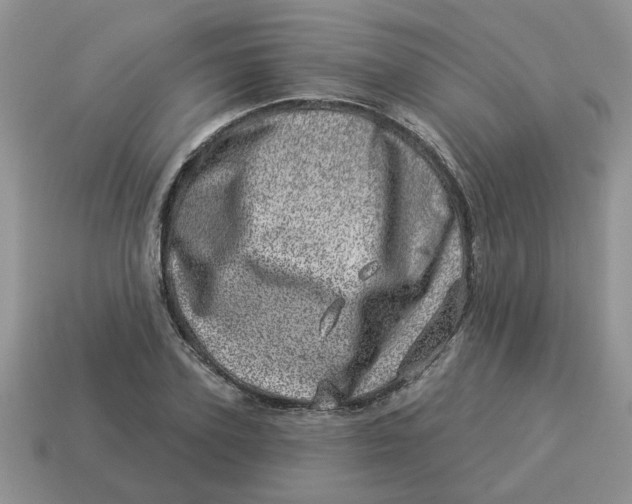 X0000114490931200911091045