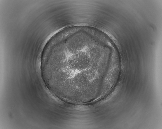 X0000114490933200911091045
