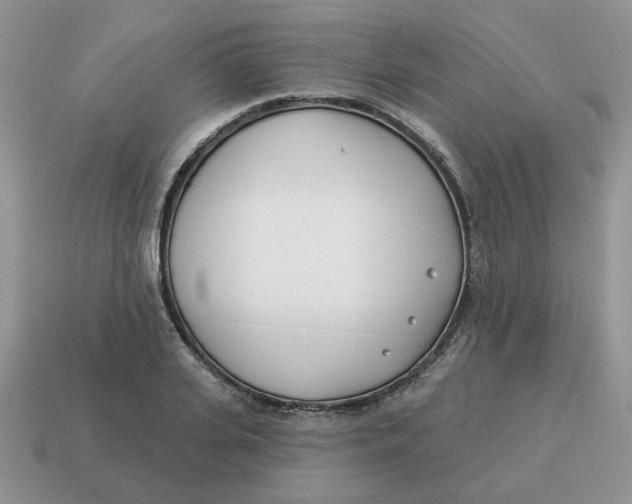 X0000114490935200911091045