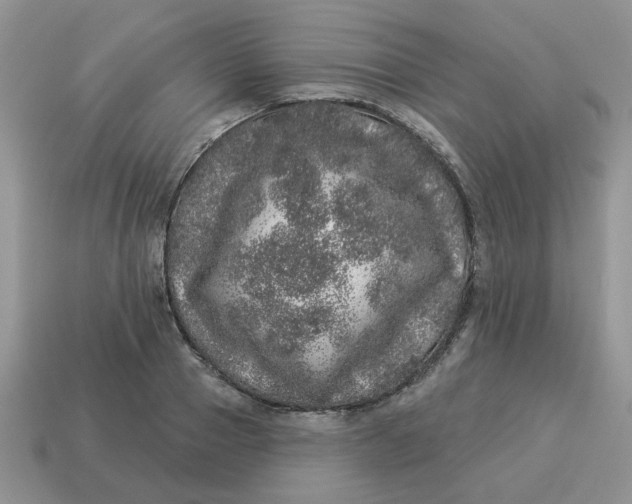 X0000114490937200911091045