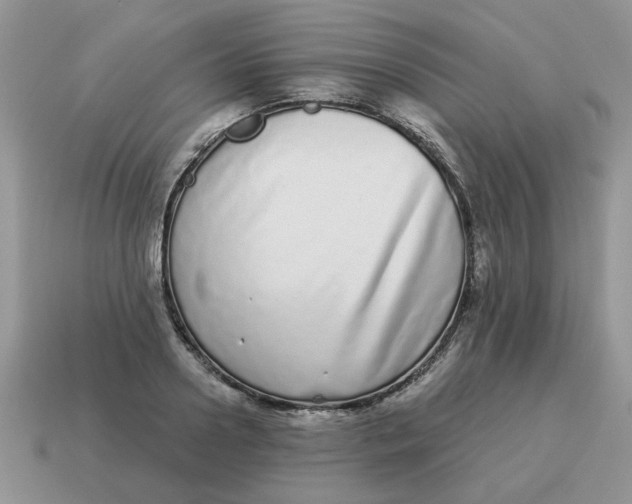 X0000114490938200911091045