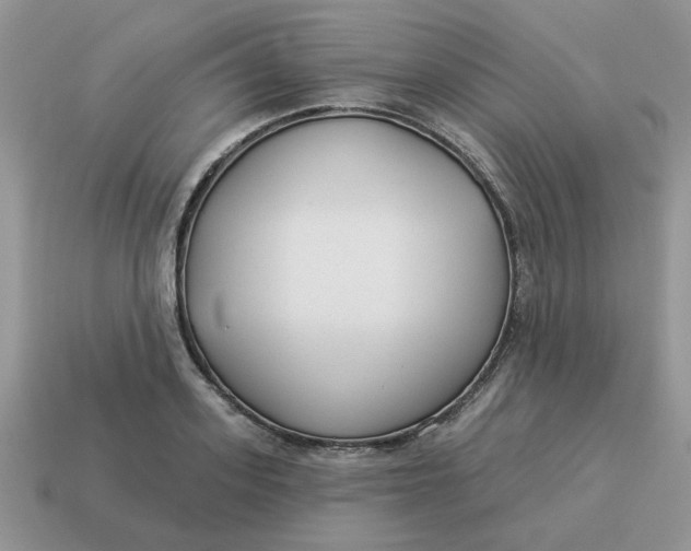 X0000114490939200911091045