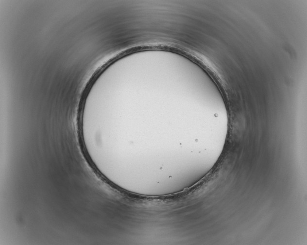 X0000114490943200911091045