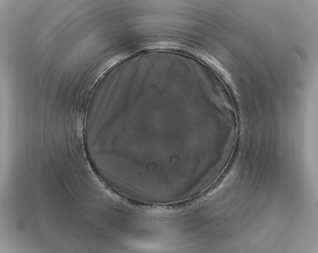 X0000114490945200911091045