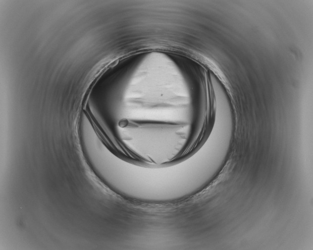 X0000114490946200911091045
