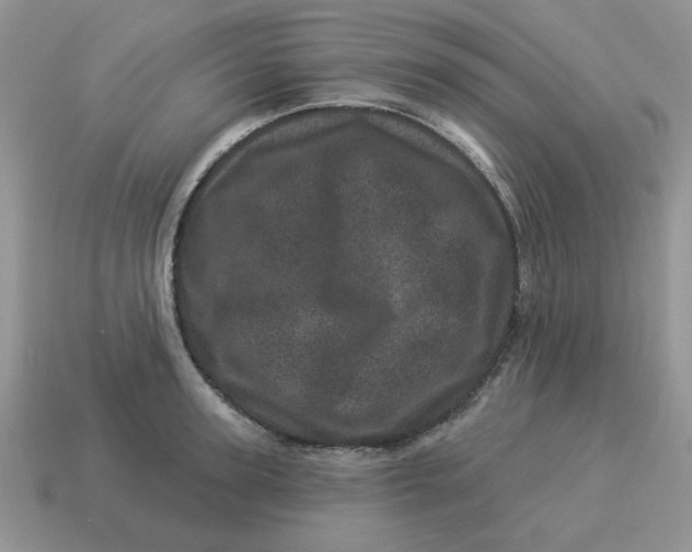 X0000114490947200911091045
