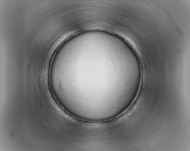 X0000114490949200911091045