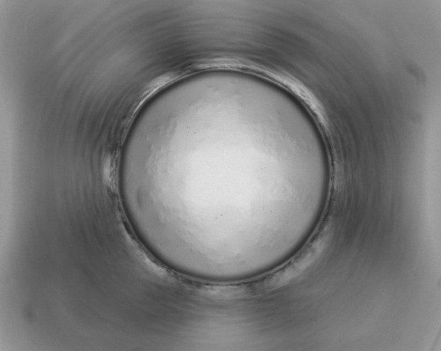 X0000114490953200911091046