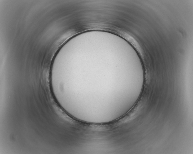 X0000114490954200911091046