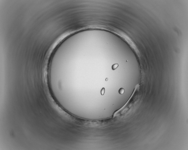 X0000114490955200911091046