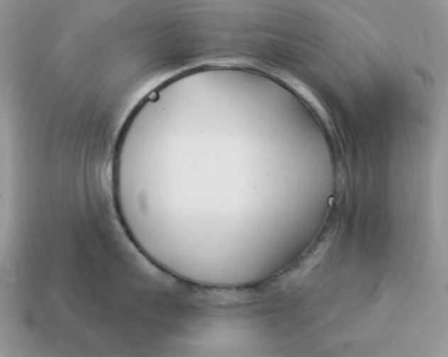 X0000114490959200911091046