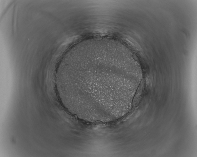 X0000114490961200911091045