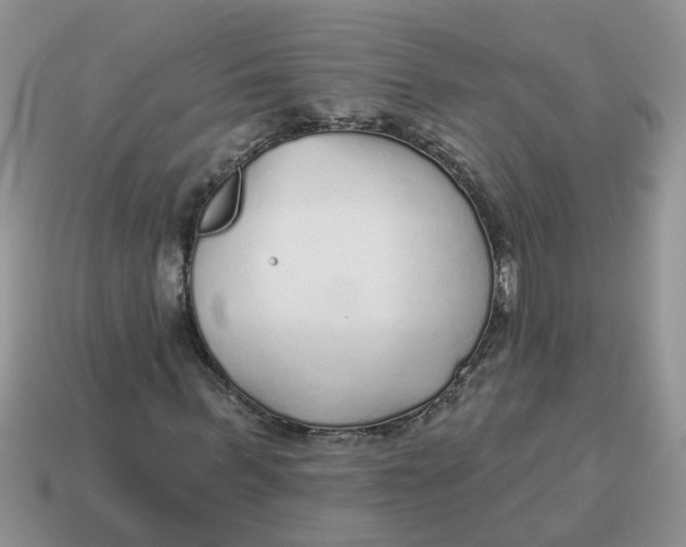 X0000114490963200911091045