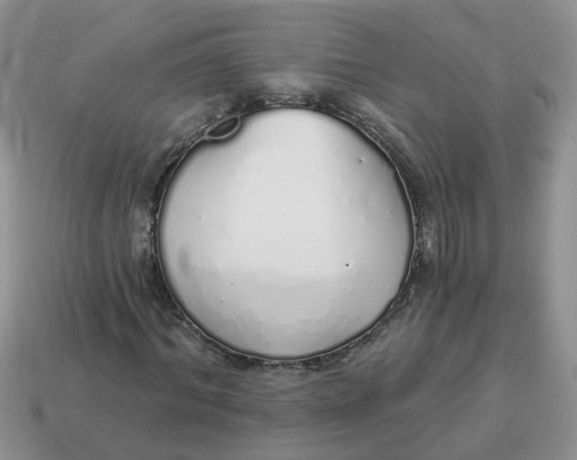 X0000114490964200911091045