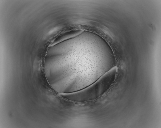 X0000114490965200911091045