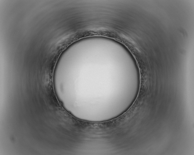 X0000114490966200911091045