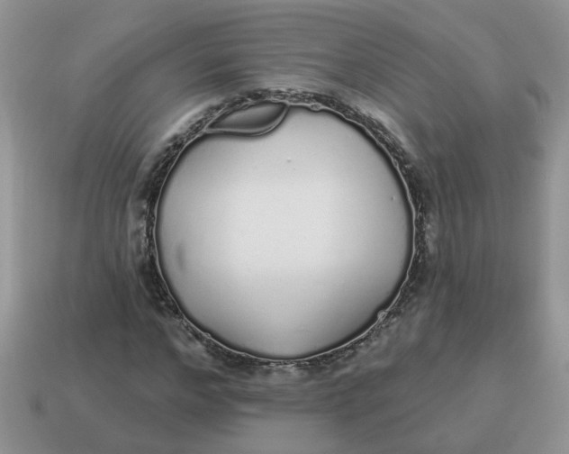 X0000114490968200911091045