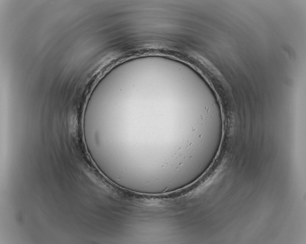 X0000114490969200911091045