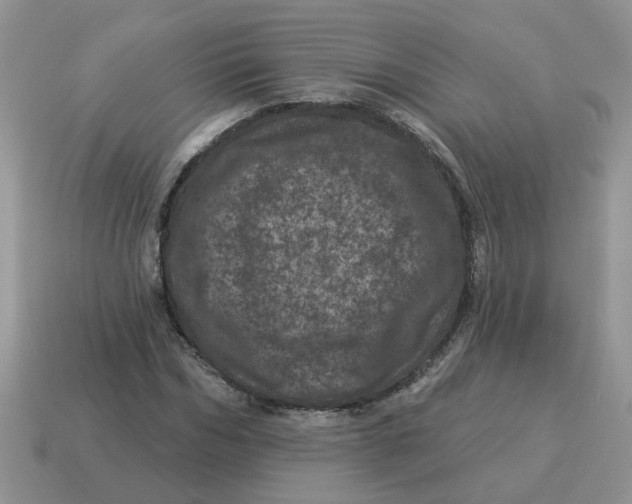 X0000114490970200911091045