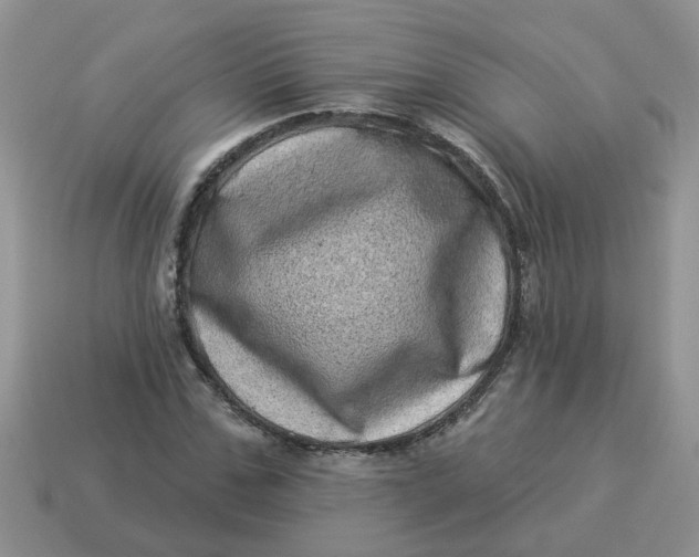 X0000114490971200911091045