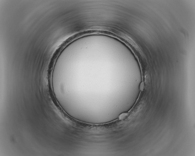 X0000114490972200911091045