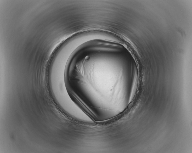 X0000114490973200911091045
