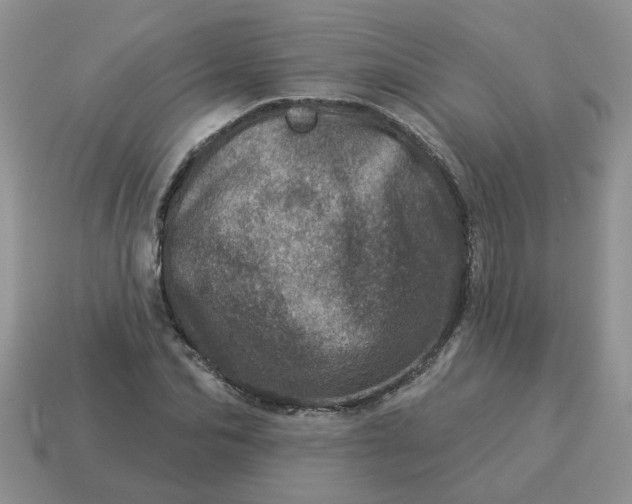 X0000114490974200911091045