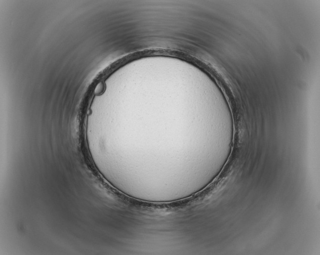 X0000114490975200911091045