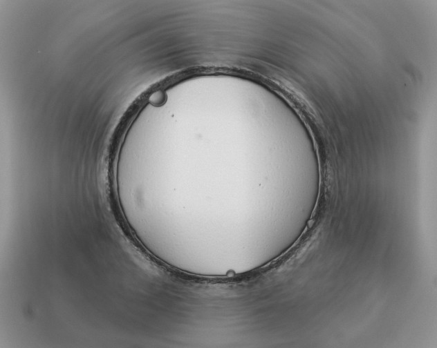 X0000114490976200911091045