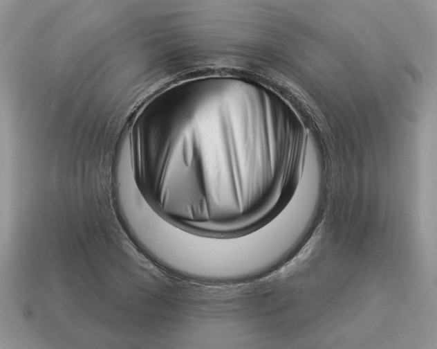 X0000114490977200911091045