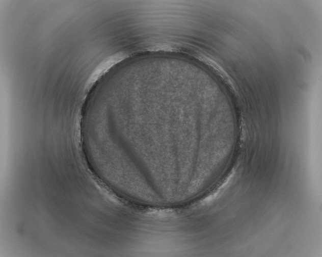 X0000114490978200911091045