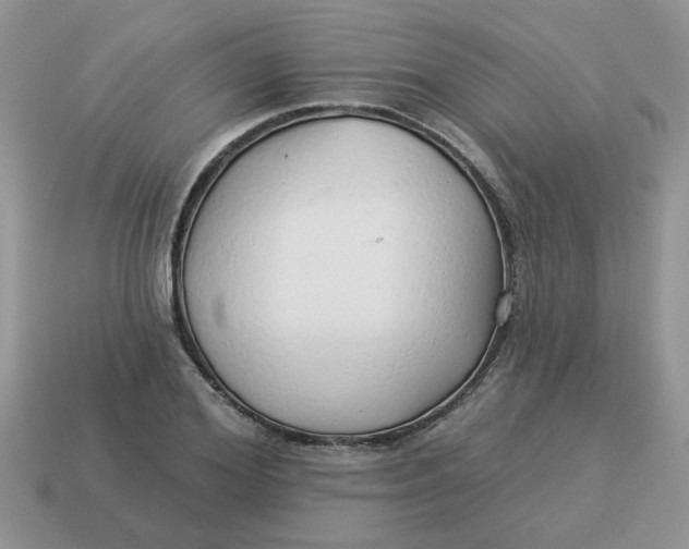 X0000114490980200911091045