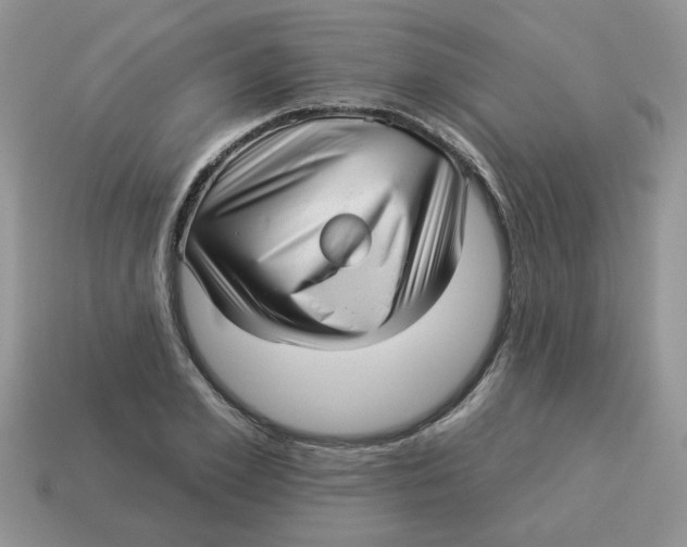 X0000114490981200911091045