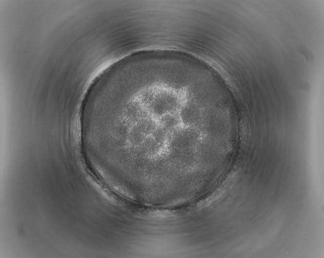 X0000114490982200911091045