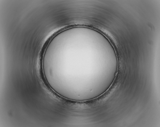 X0000114490983200911091045