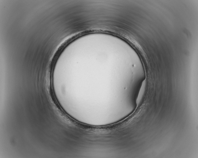 X0000114490984200911091045