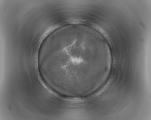 X0000114490986200911091045