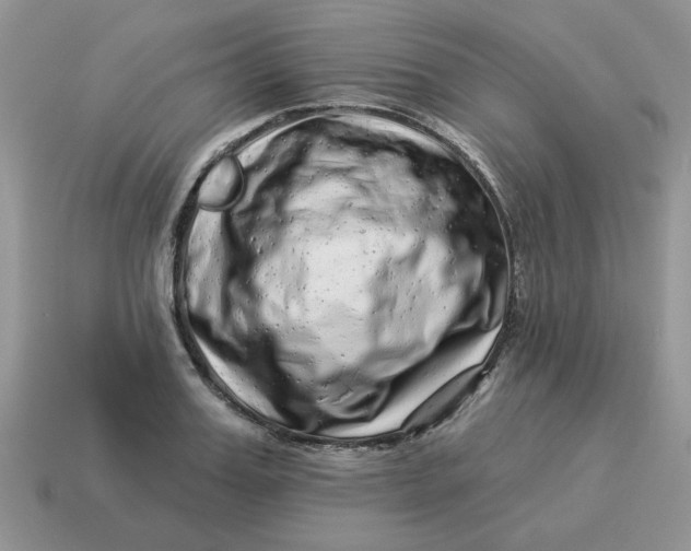 X0000114490987200911091045