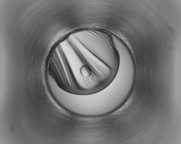 X0000114490989200911091045