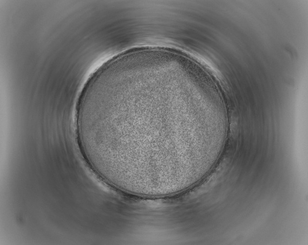 X0000114490990200911091045