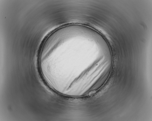X0000114490991200911091045