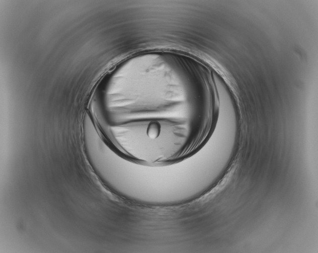 X0000114490993200911091045