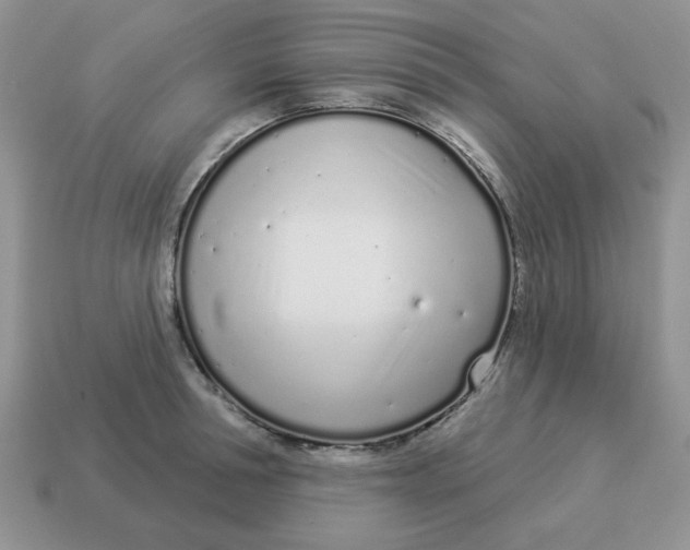 X0000114490994200911091045
