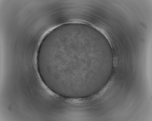 X0000114490995200911091045