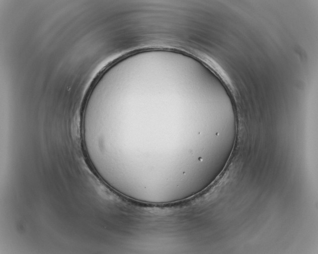 X0000114490996200911091045