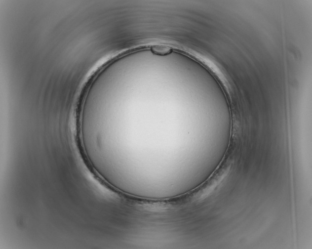 X0000114490999200911091045
