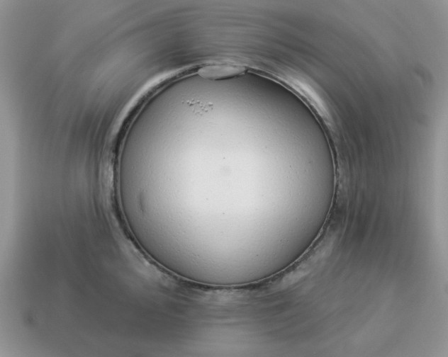 X0000114491000200911091045