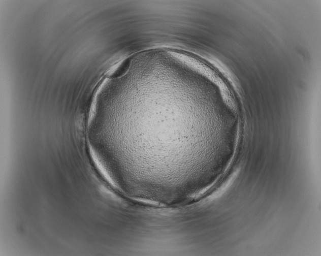 X0000114491001200911091044