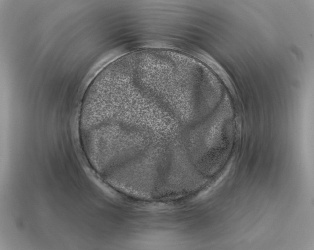 X0000114491002200911091044